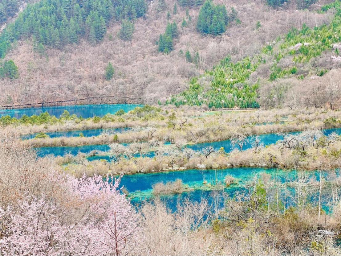 <strong>šկ羰</strong>