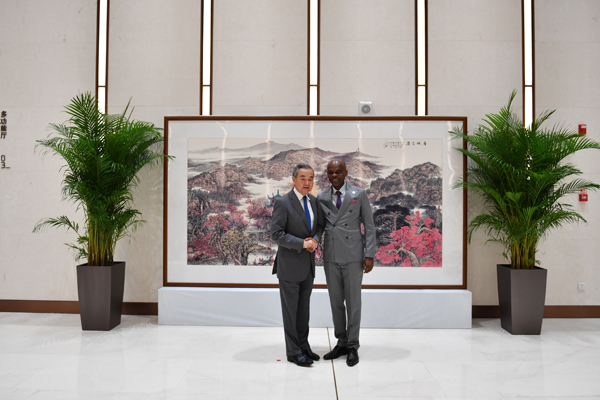 <strong>王毅会见多哥外长迪塞</strong>