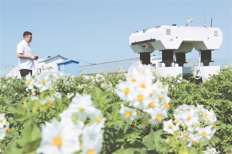 <strong>����ģ��������ֳ����Ƽ�������</strong>