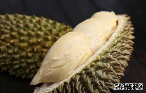 �����࣡�㶫�������������еġ������ˡ�