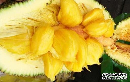 �ع����������ۣ�����ʶ��Ĺ㶫�˶���һ����ʶ��ˮ��