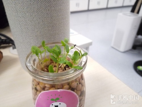 ������������ֵ��£�� С��ƽ��3����