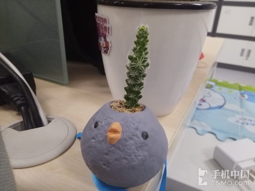 ������������ֵ��£�� С��ƽ��3����