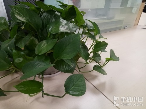 ������������ֵ��£�� С��ƽ��3����