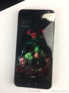 С��6�����Ƶ���� ��������С���ֻ���