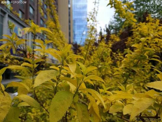 ˫������ͷ���ǽ�����С��6&С��5S���նԱ�