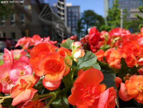 ˫������ͷ���ǽ�����С��6&С��5S���նԱ�