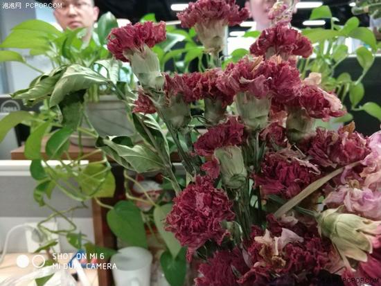 ˫������ͷ���ǽ�����С��6&С��5S���նԱ�