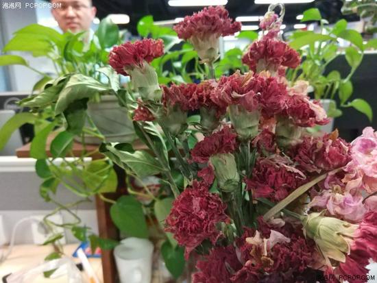 ˫������ͷ���ǽ�����С��6&С��5S���նԱ�