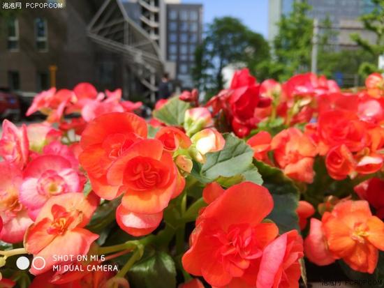 ˫������ͷ���ǽ�����С��6&С��5S���նԱ�