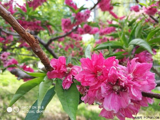 ˫������ͷ���ǽ�����С��6&С��5S���նԱ�