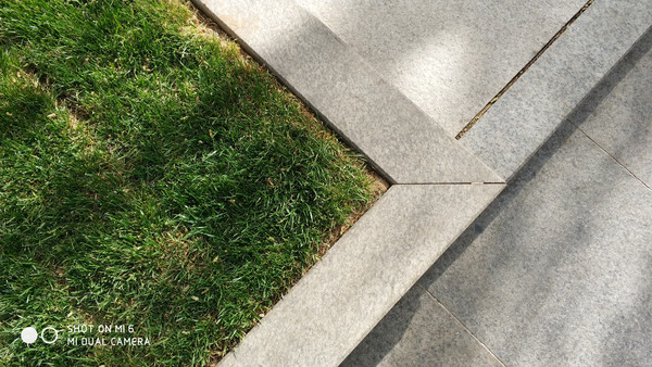 С��6����Ϊɶ��ô6 ����ġ�����������û