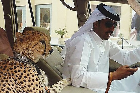 �ϰ���������й��ֻ�����������û�뵽