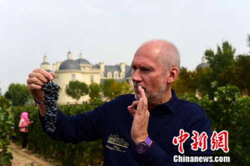 ��ÿ���ʱ��������ƣ���ԣ���Ѿƽ���Ӣ��Tesco