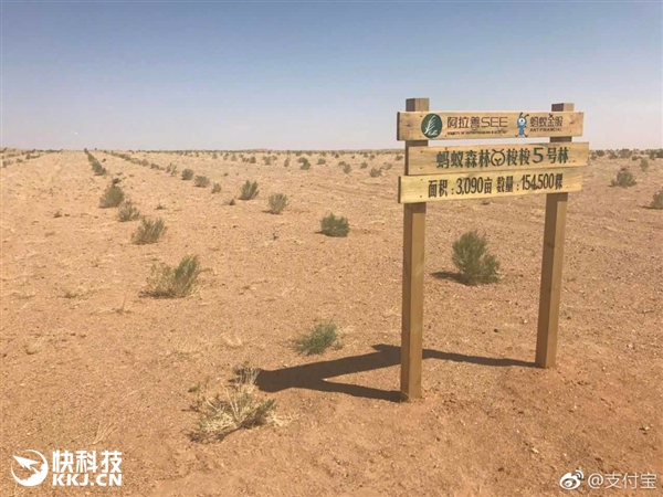 �쿴������֧�������ֵ������������