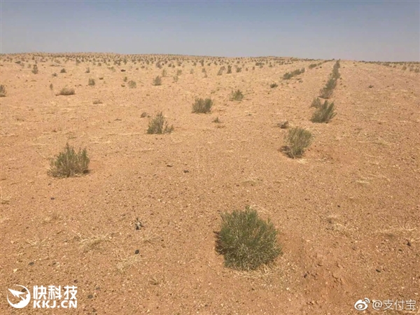 �쿴������֧�������ֵ������������