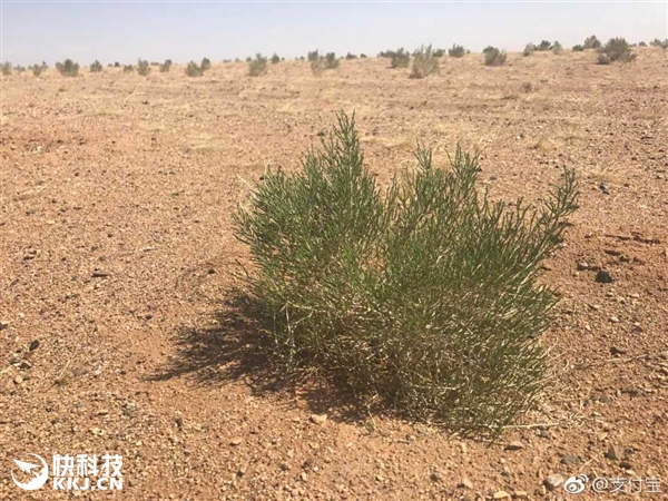 �쿴������֧�������ֵ������������