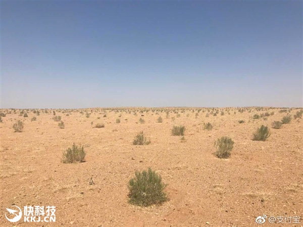 �쿴������֧�������ֵ������������