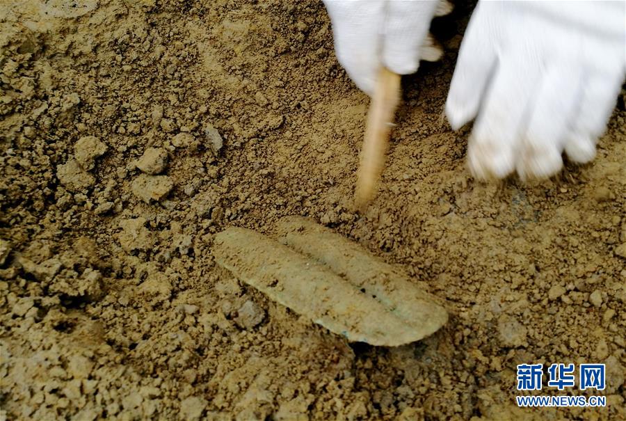 �ɶ���׽�����Ĺ��Ⱥ�ٴγ�����������