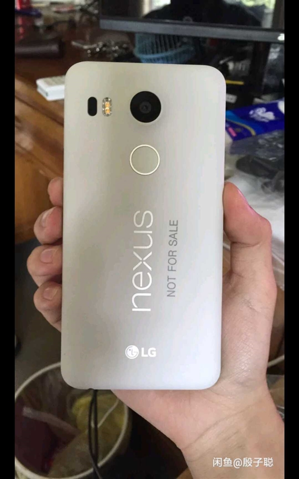 ���㾪�ֹȸ�Nexus 5X���̻�������Win10 Mobile