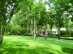 �����߶��̿��������� �������������Ų�æ