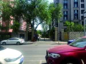 �����߶��̿��������� �������������Ų�æ