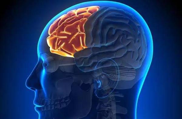 揭秘:抓娃娃机究竟是怎样调节抓取率的?