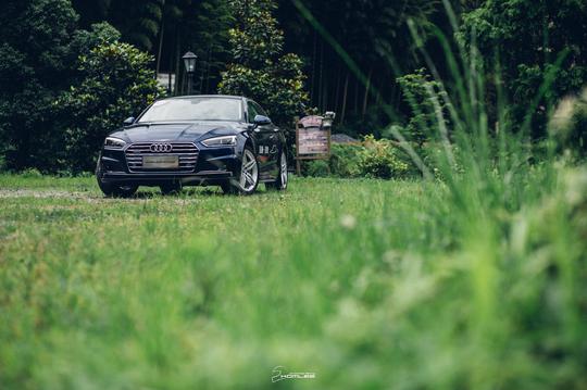 ����������A5�ı����ģ���ȴ��������һƪ���ģ�