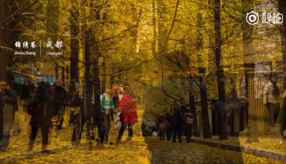 ��ѧ����1������̺����й� ������������