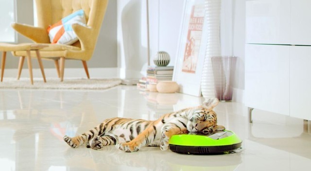 ����Щ����֪������򵽺��õ�ɨ�ػ����ˣ�