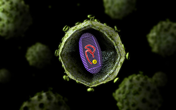 ���̲�����