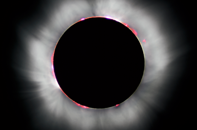 最新研究表明,当日食过程中,生物发光海洋动物开始发光,夜间活动的海洋动物开始疯狂地向上游动。