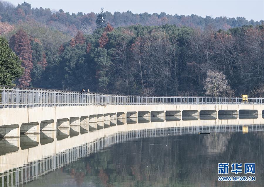 �����ᡤͼ�Ļ�������8�����������̵�̫���ˣ�����������ίԱ���鶫���̵�����